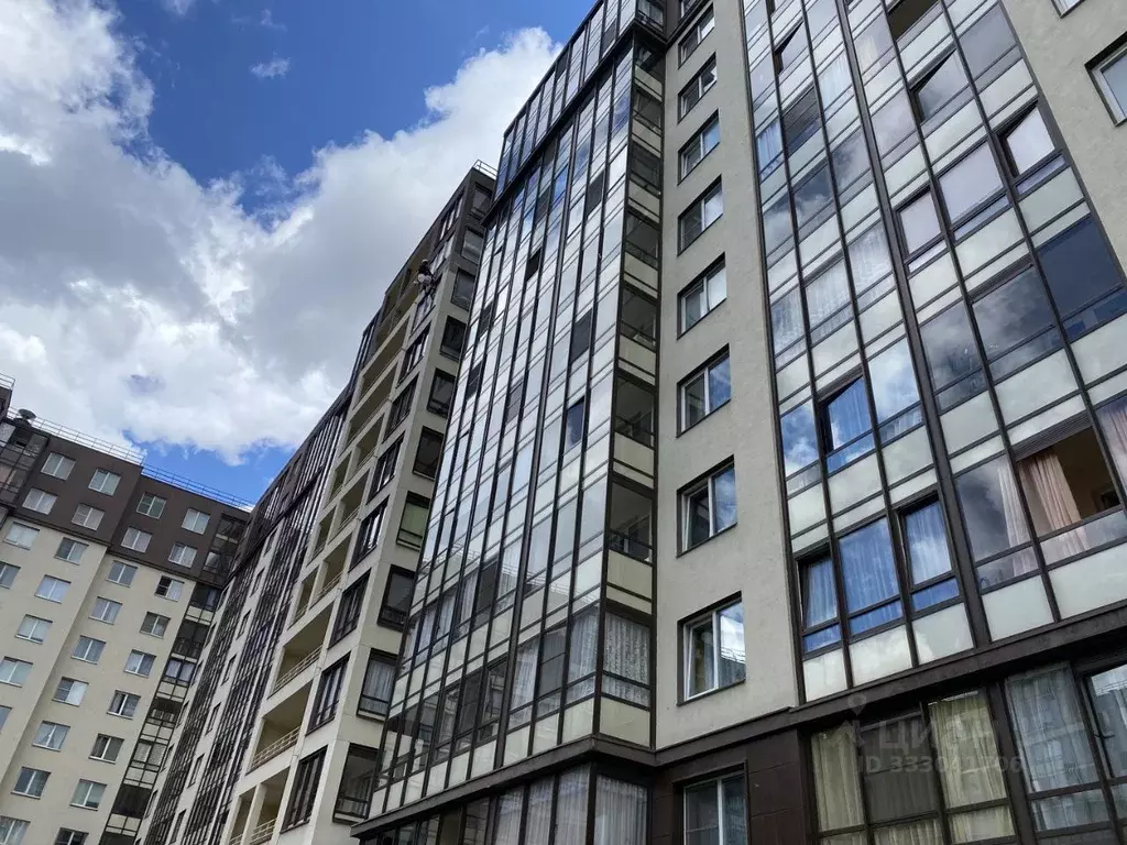Студия Санкт-Петербург просп. Ветеранов, 171к4 (24.5 м) - Фото 1
