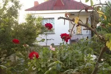 Дом в Севастополь Мираж садовое товарищество, Б сектор,  (36 м) - Фото 0