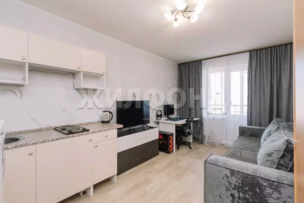 1-к кв. Новосибирская область, Новосибирск ул. Петухова, 99/1 (20.7 м) - Фото 1