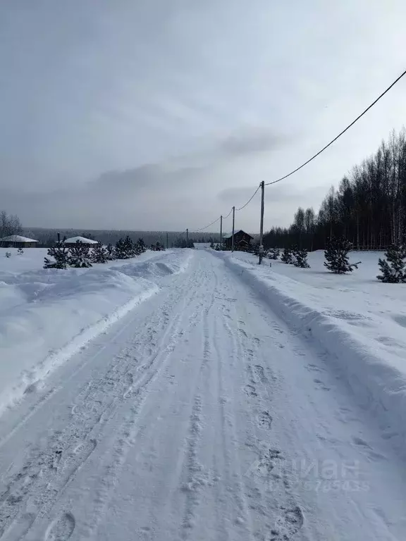 Участок в Ярославская область, Угличский муниципальный округ, д. ... - Фото 2