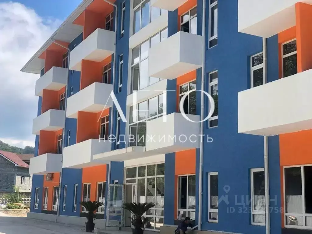 Студия Краснодарский край, Сочи городской округ, с. Орел-Изумруд ул. ... - Фото 1