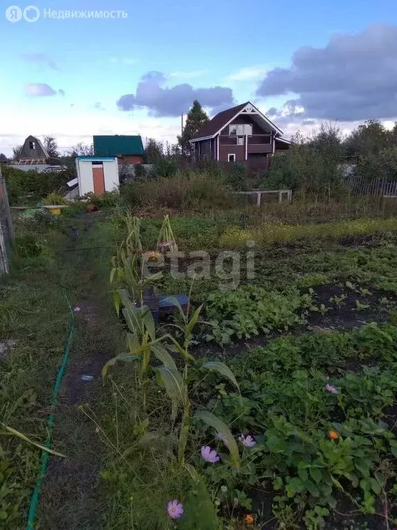 Участок в Бердск, СНТ Марьин Лог, 57-я улица (6 м) - Фото 0