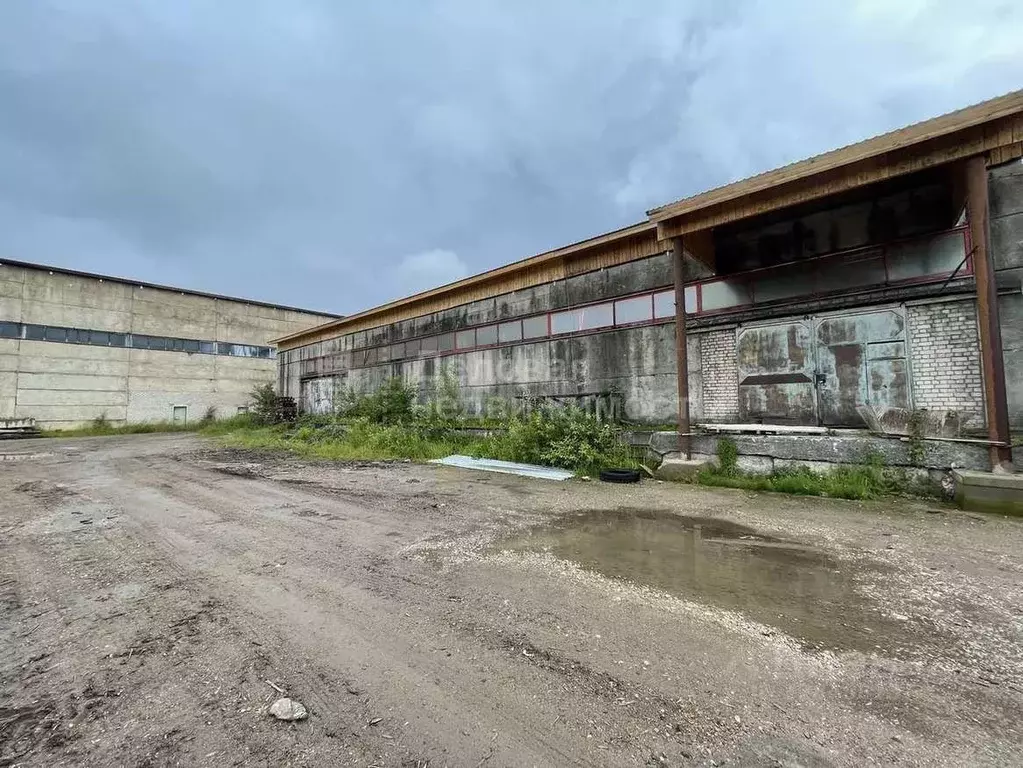 Склад в Новгородская область, Великий Новгород Нехинская ул., 57Г (216 ... - Фото 1