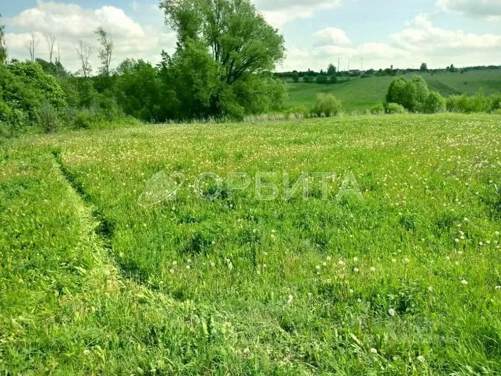 Участок в Тюменская область, Вагайский район, с. Тукуз Центральная ... - Фото 1