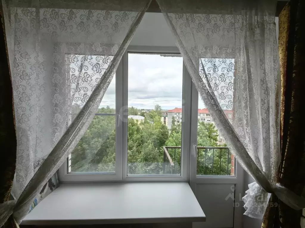 1-к кв. Санкт-Петербург, Санкт-Петербург, Пушкин Красносельское ш., 19 ... - Фото 1