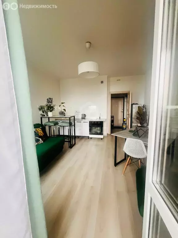 Квартира-студия: Санкт-Петербург, Арцеуловская аллея, 21 (24 м) - Фото 1