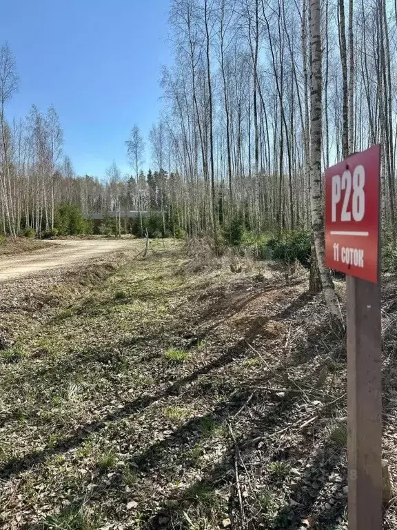 Участок в Московская область, Ступино городской округ, Шелково Форест ... - Фото 0