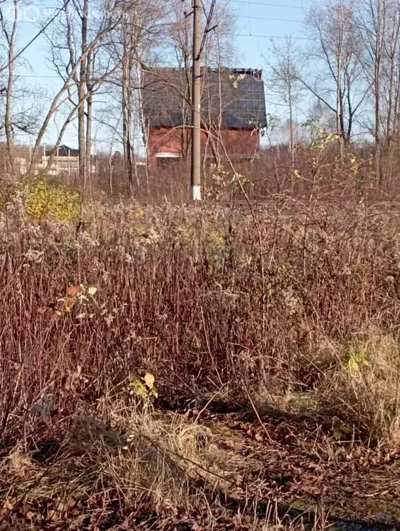 Участок в Калининградская область, Гурьевский муниципальный округ, ... - Фото 2