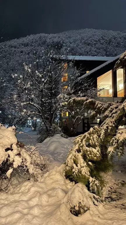 Дом в Краснодарский край, Сочи с. Эстосадок, ул. Переселенческая (250 ... - Фото 2