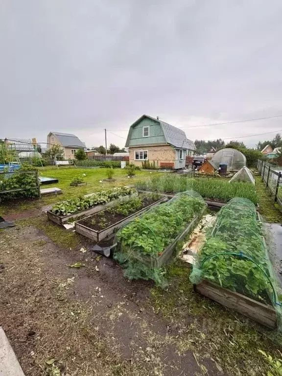Дом в Вологодская область, Шекснинский муниципальный округ, Радуга СОТ ... - Фото 1