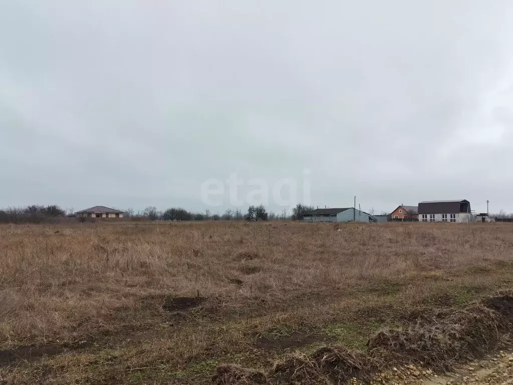 Участок в Краснодарский край, Ейский район, с. Кухаривка ул. Свободы ... - Фото 2