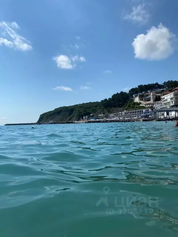 1-к кв. Краснодарский край, Туапсинский муниципальный округ, с. ... - Фото 0