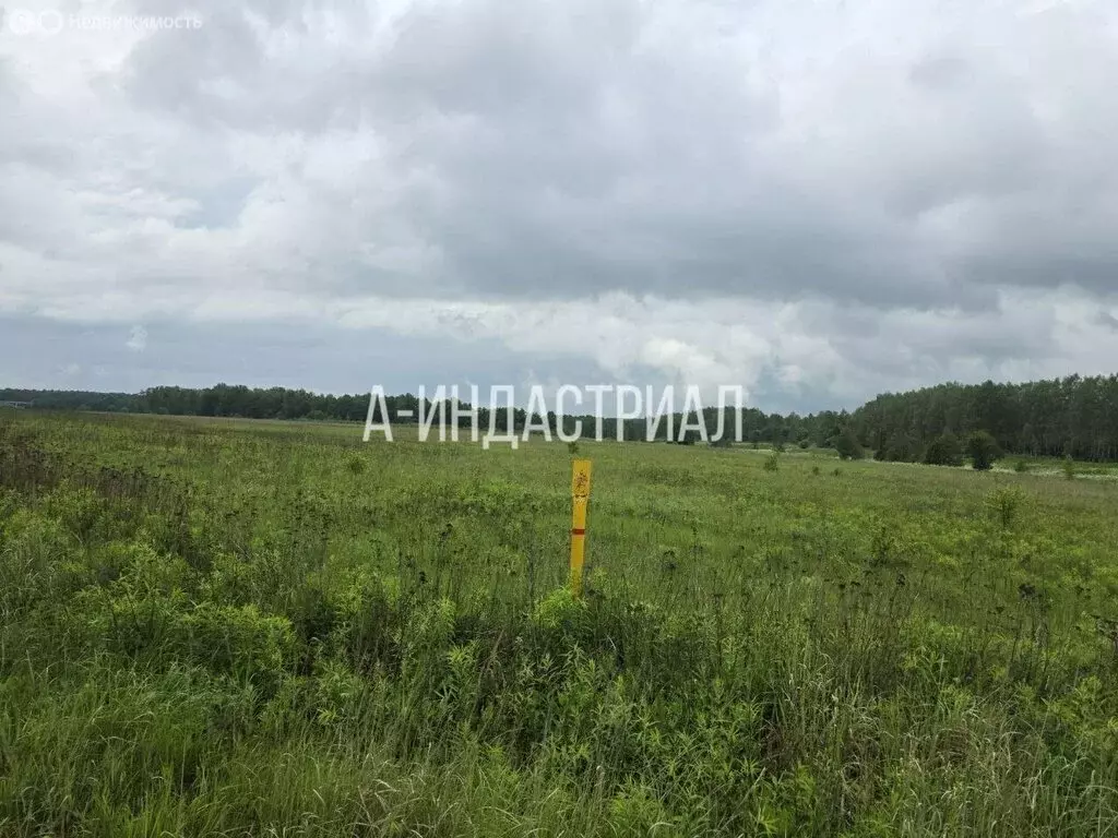 Участок в деревня Барабаново, Полевая улица, 50 (20 м) - Фото 2