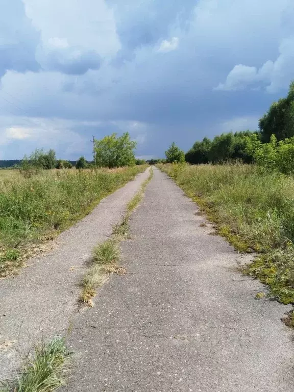 Участок в Московская область, Егорьевск муниципальный округ, д. Кочема ... - Фото 1