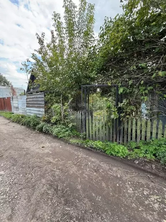 Участок в Красноярский край, Красноярск Алюминий СНТ, ул. Прямая, 235 ... - Фото 1