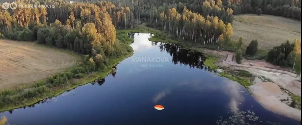 Участок в Приозерский район, Сосновское сельское поселение, деревня ... - Фото 1