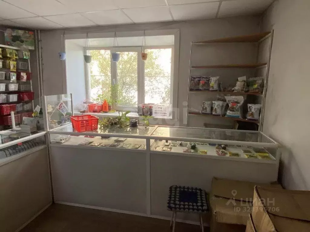 Торговая площадь в Бурятия, Улан-Удэ ул. Терешковой, 20 (31 м) - Фото 1