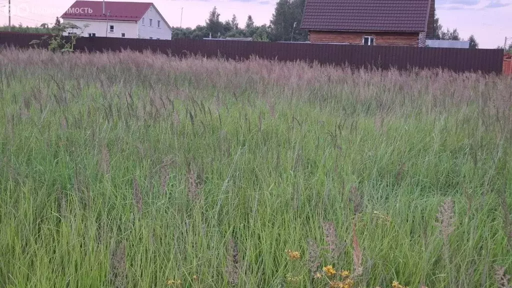 Участок в Московская область, муниципальный округ Егорьевск, село ... - Фото 1