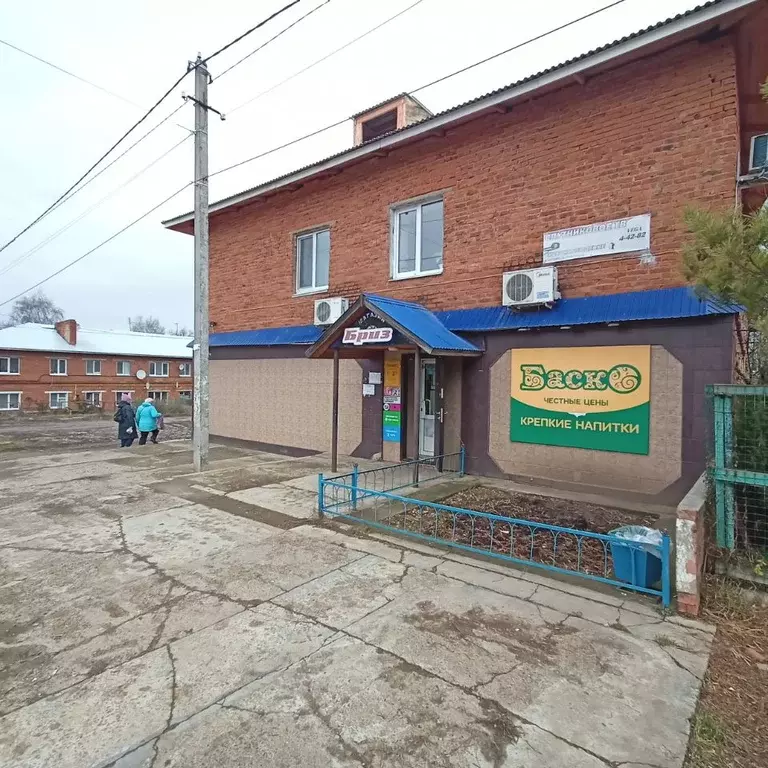 Торговая площадь в Удмуртия, Сарапульский район, с. Нечкино Рабочая ... - Фото 1