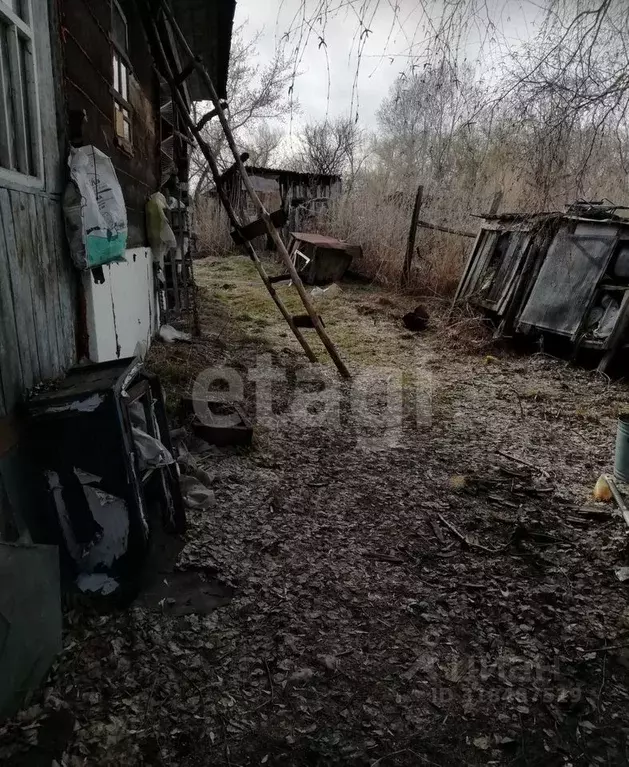 Дом в Алтайский край, Алтайский район, с. Нижнекаменка Извозная ул., ... - Фото 0
