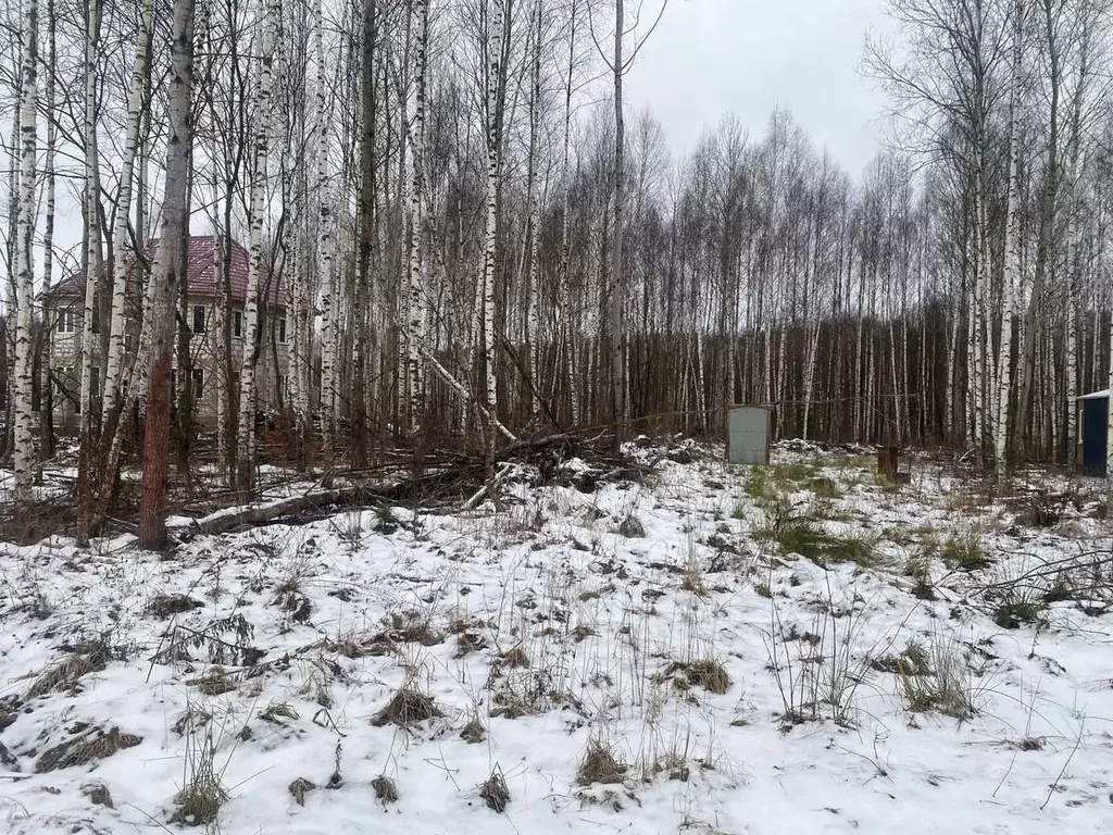 Участок в Московская область, Ступино городской округ, д. ... - Фото 1