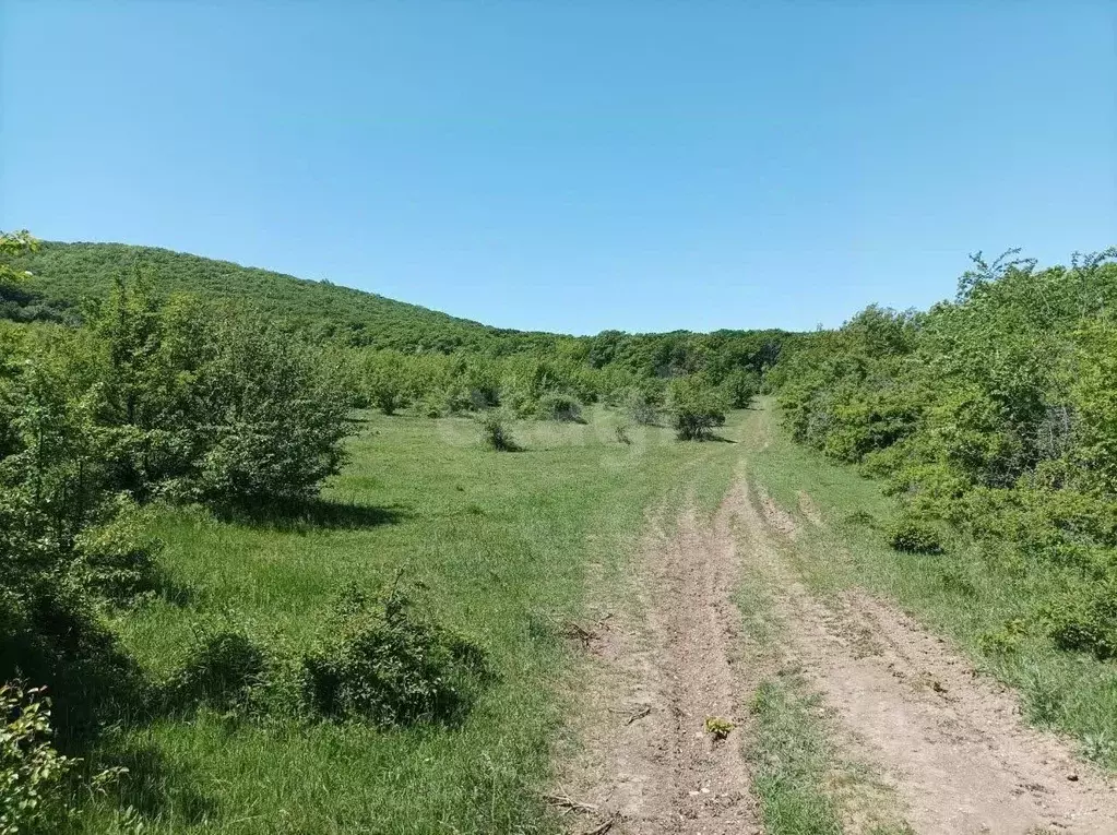 Участок в Крым, Кировский район, Старый Крым городское поселение ул. ... - Фото 1