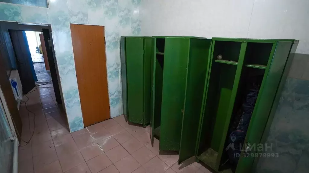 Помещение свободного назначения в Камчатский край, Елизовский ... - Фото 2