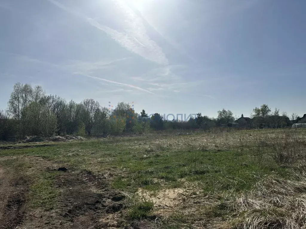 Участок в Нижегородская область, Богородский муниципальный округ, д. ... - Фото 2