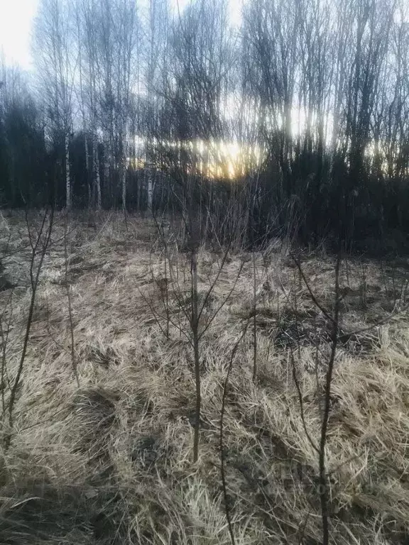 Участок в Вологодская область, Вологда Меркурий садоводческое ... - Фото 1