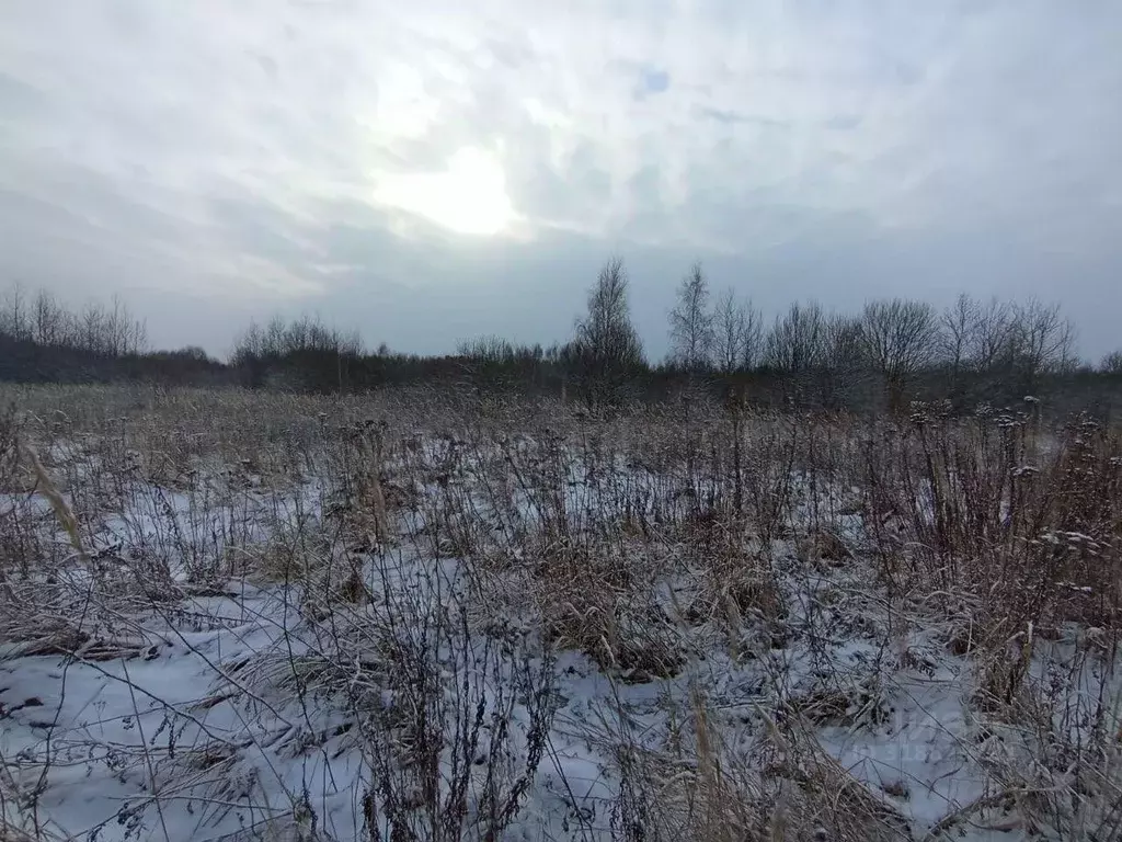 Участок в Московская область, Коломна городской округ, с. Нижнее ... - Фото 0