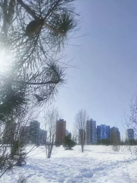 Студия Московская область, Химки городской округ, д. Рузино, ... - Фото 2