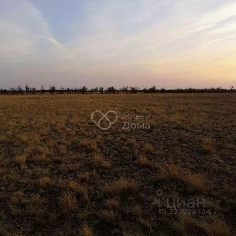 Участок в Волгоградская область, Волгоград Село Песчанка тер., ул. ... - Фото 1