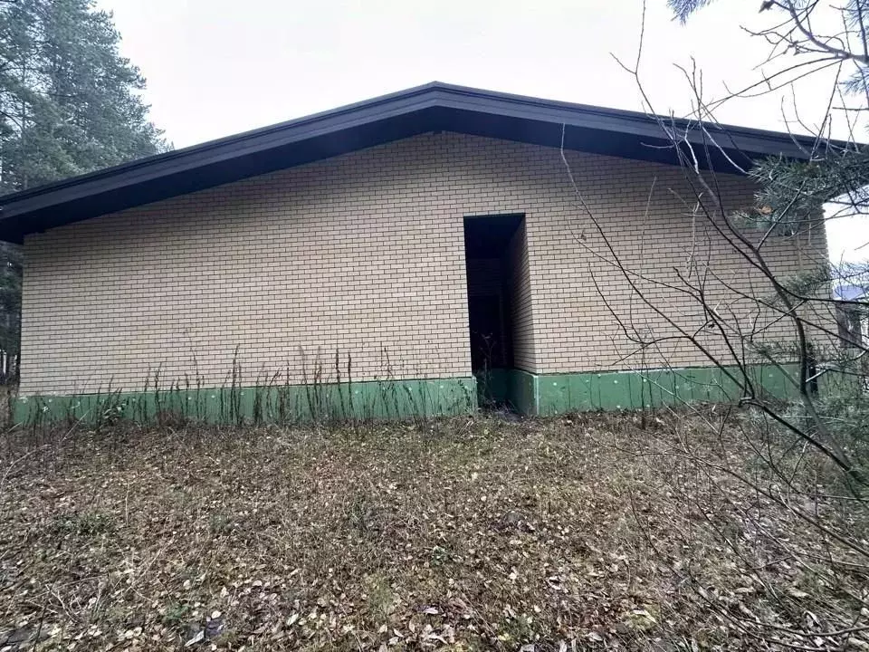 Дом в Свердловская область, Белоярский муниципальный округ, с. ... - Фото 2