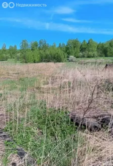 Участок в село Фоминское, Ленинградская улица (16 м) - Фото 1
