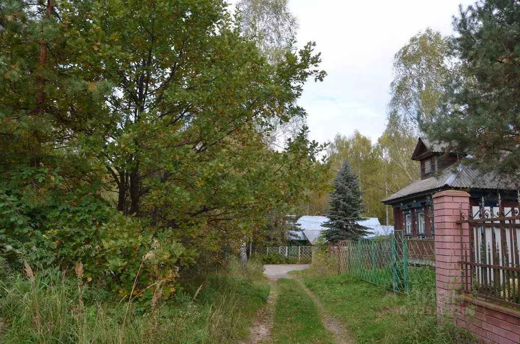 Участок в Нижегородская область, Бор муниципальный округ, д. Дерябино  ... - Фото 1