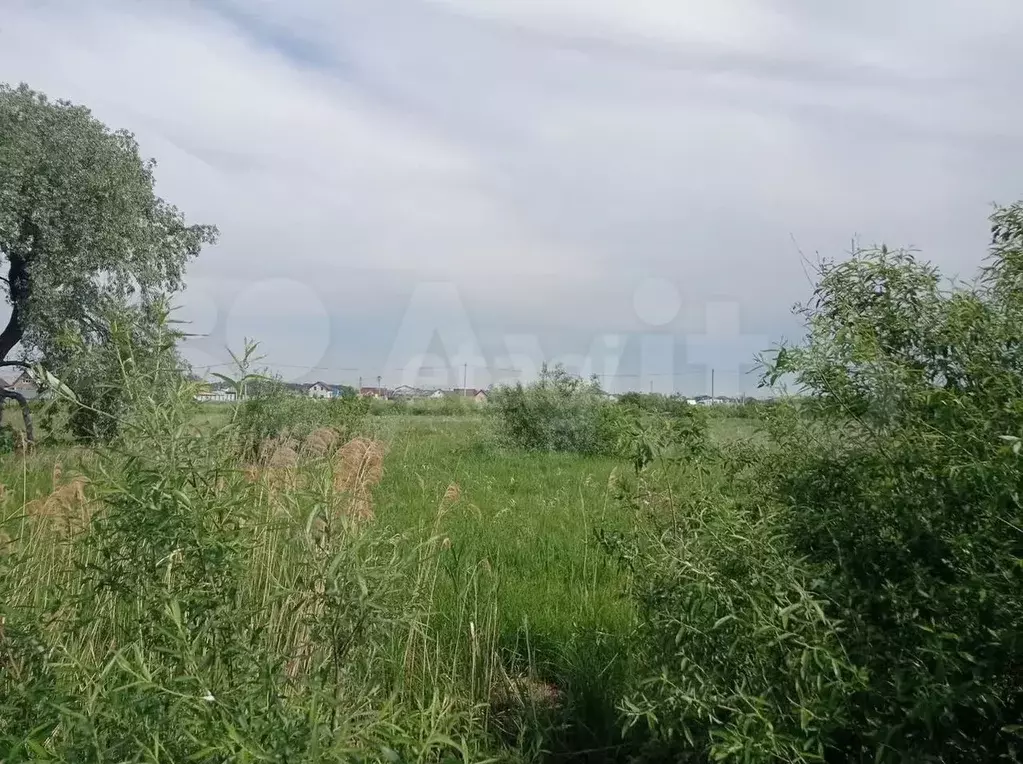 Участок 10 сот. (ИЖС) - Фото 1