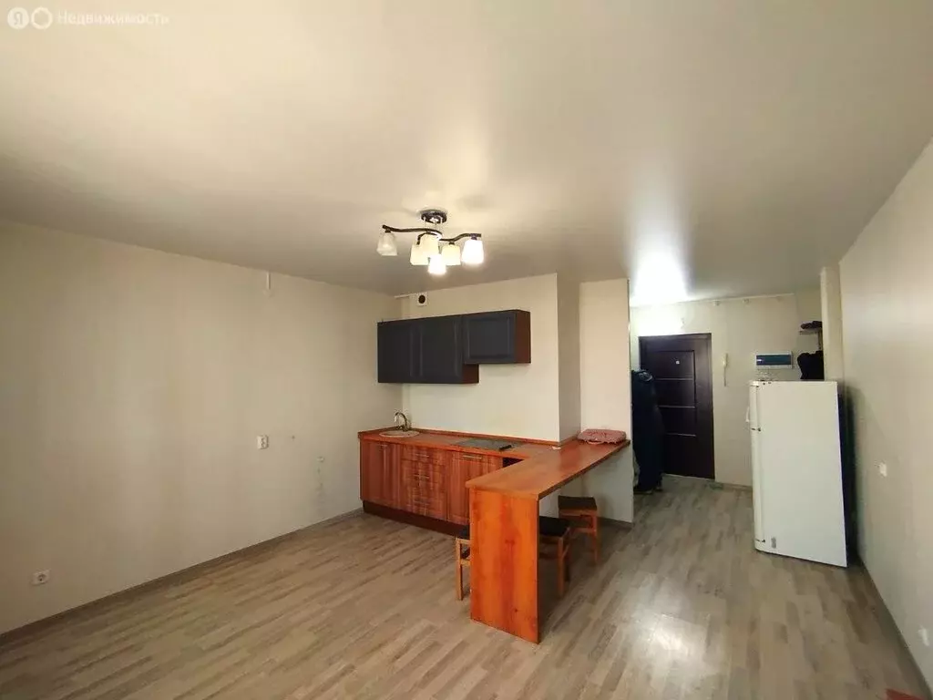 Квартира-студия: Челябинск, улица Скульптора Головницкого, 12 (27.2 м) - Фото 1