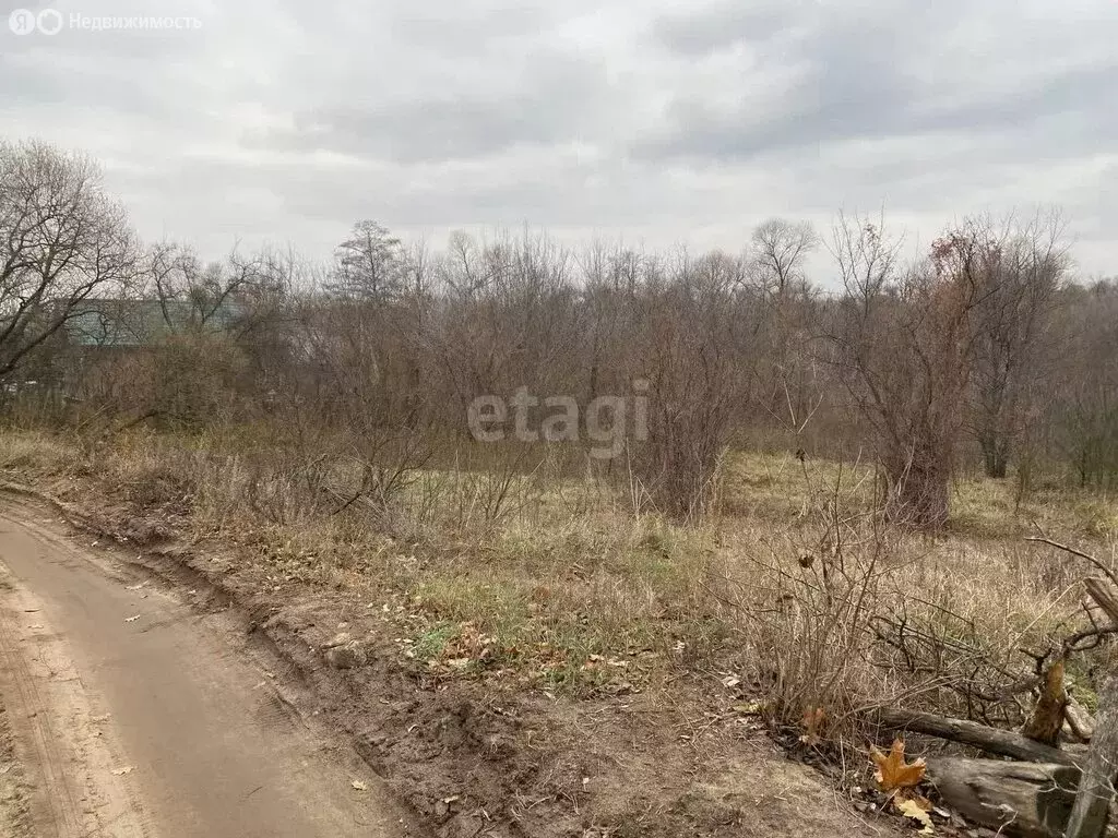 Участок в деревня Новоподклетное, Набережная улица (6.14 м) - Фото 1