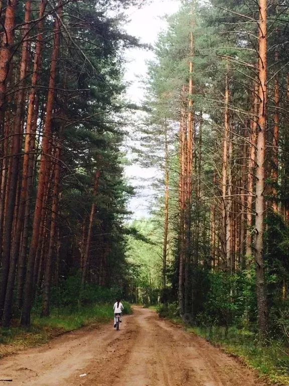 Дом в Псковская область, Куньинский район, Каськовская волость, д. ... - Фото 2