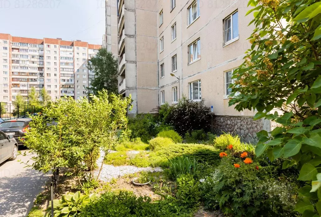 Комната Санкт-Петербург просп. Сизова, 14 (20.0 м) - Фото 1