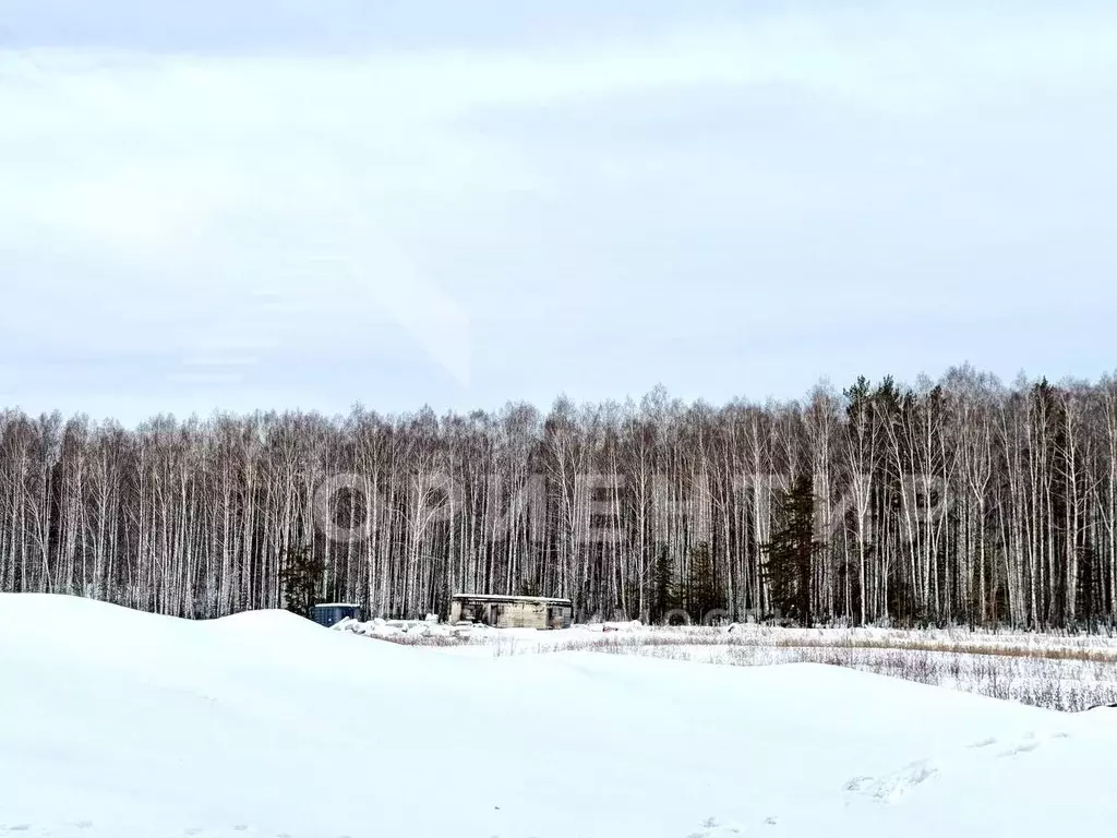 Участок в Свердловская область, Первоуральск  (17.4 сот.) - Фото 2