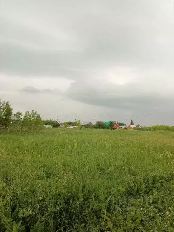 Участок в Татарстан, Высокогорский район, Чепчуговское с/пос, д. Новые ... - Фото 0