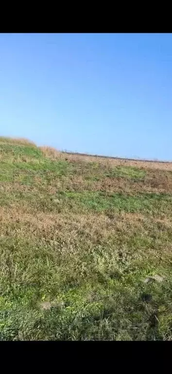 Участок в Краснодарский край, Усть-Лабинский район, Ладожское с/пос, ... - Фото 2