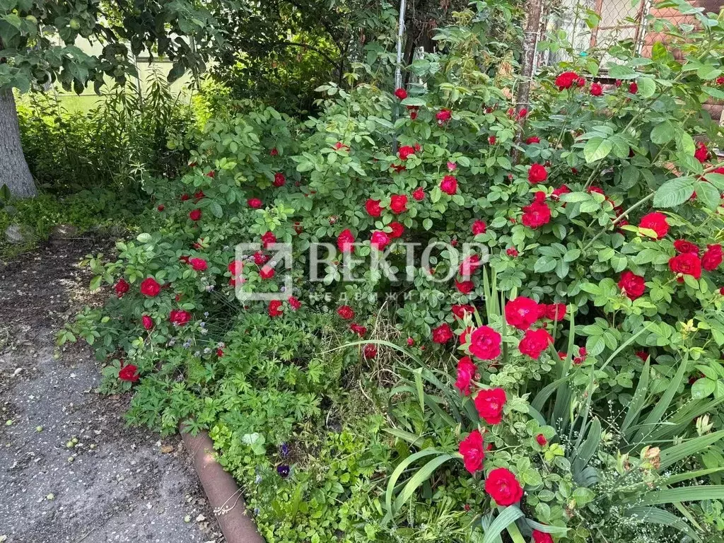 Дом в Ивановская область, Иваново ул. 5-я Завокзальная, 51 (110 м) - Фото 1