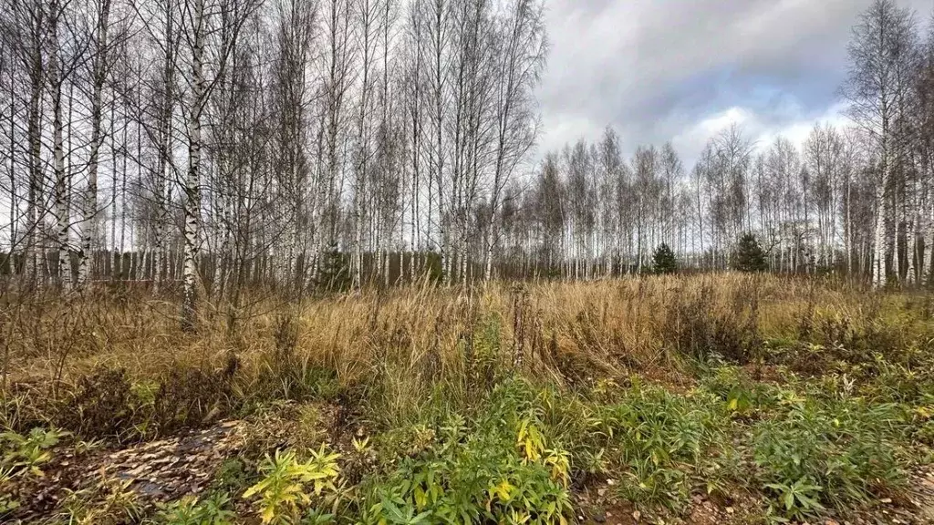 Участок в Тверская область, Конаковский муниципальный округ, Ремонтник ... - Фото 1