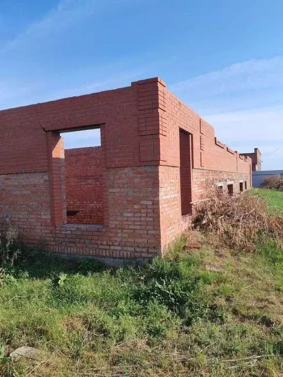 Участок в Оренбургская область, Бузулукский район, Новоалександровский ... - Фото 1