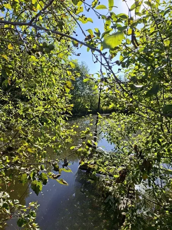 Участок в Пермский край, Пермский муниципальный округ, д. Дерибы  ... - Фото 1