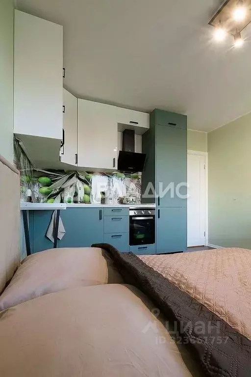 Студия Санкт-Петербург просп. Большевиков, 68к1 (21.3 м) - Фото 2