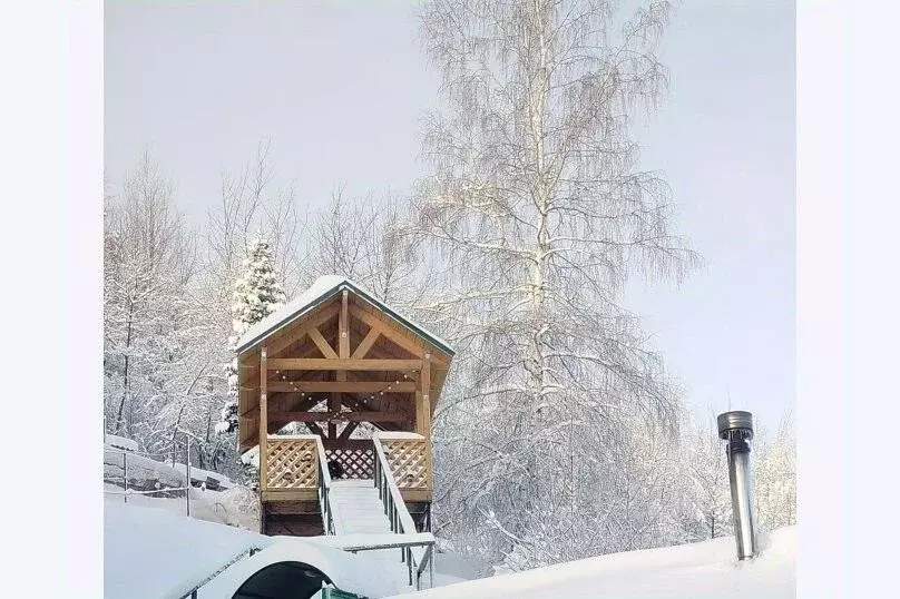 Дом в Алтайский край, Белокуриха Алтайская ул., 30 (55 м) - Фото 1