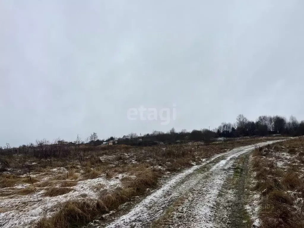 Участок в Московская область, Серпухов городской округ, с. Липицы  ... - Фото 1